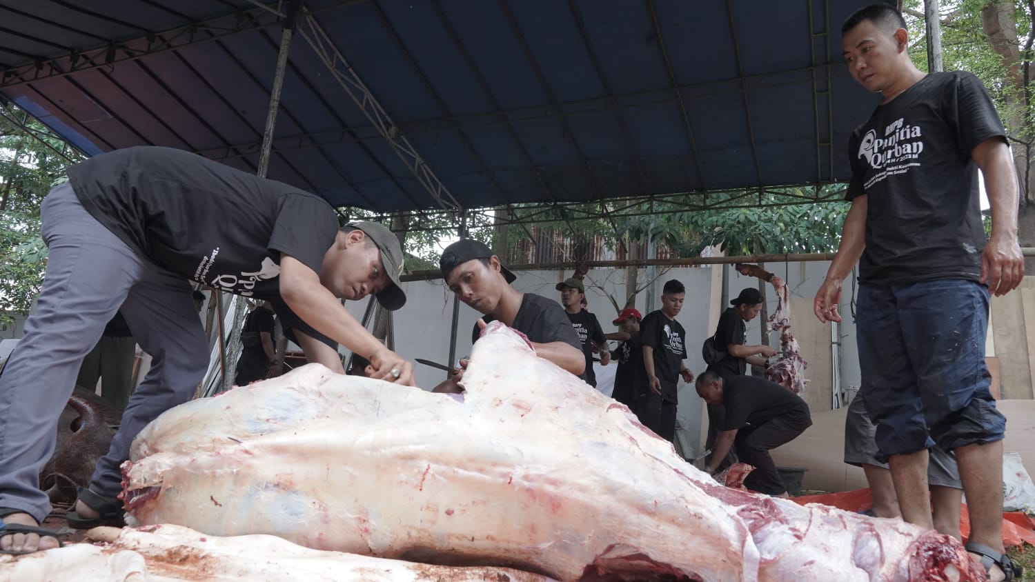 Suasana pelaksanaan qurban Idul Adha di Lingkungan BNPB pada Jumat (30/6).